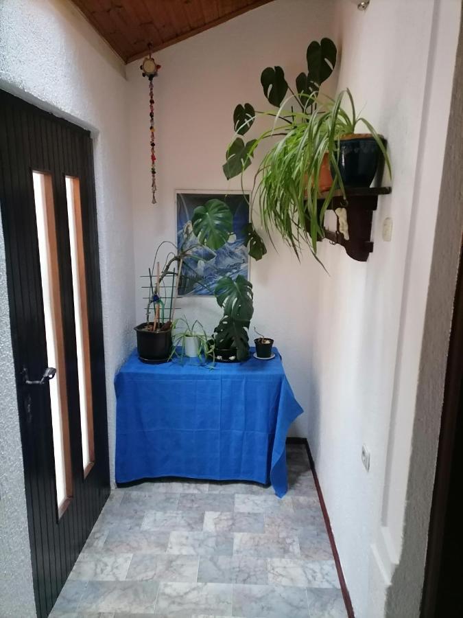 Apartman Zepina Пула Екстер'єр фото